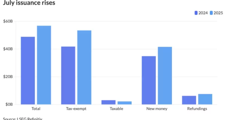 Unearthing the Reality: Is the Record-Breaking Municipal Bond Surge a Misleading Mirage?